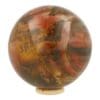 Versteend hout bol met diameter van 110mm en houten ring