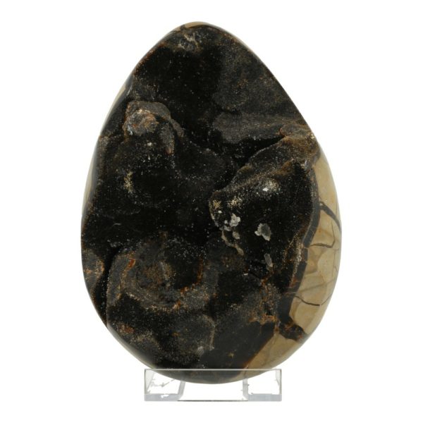 Uniek groot septarie ei XL van maar liefst 22cm hoog en vol met zwarte chalcedoon kristallen