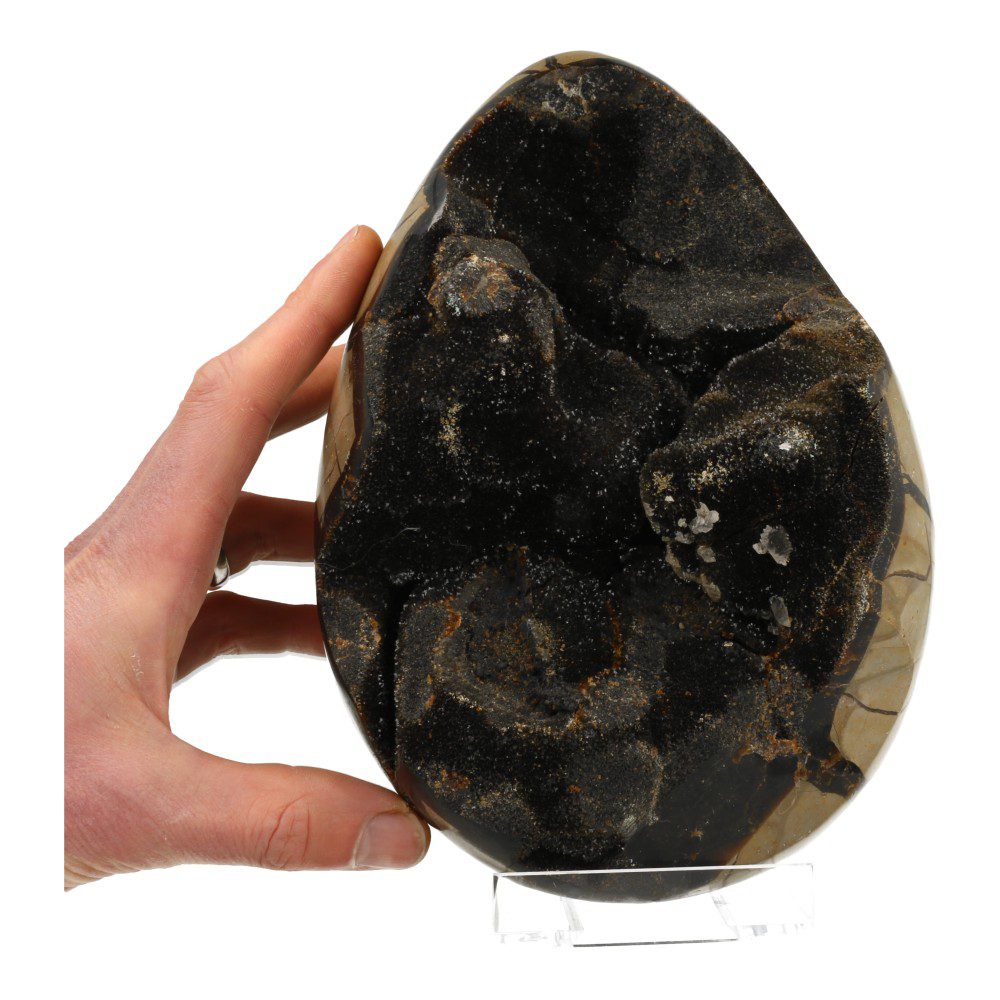 Overzichtsfoto met hand van Uniek groot septarie ei XL van maar liefst 22cm hoog en vol met zwarte chalcedoon kristallen