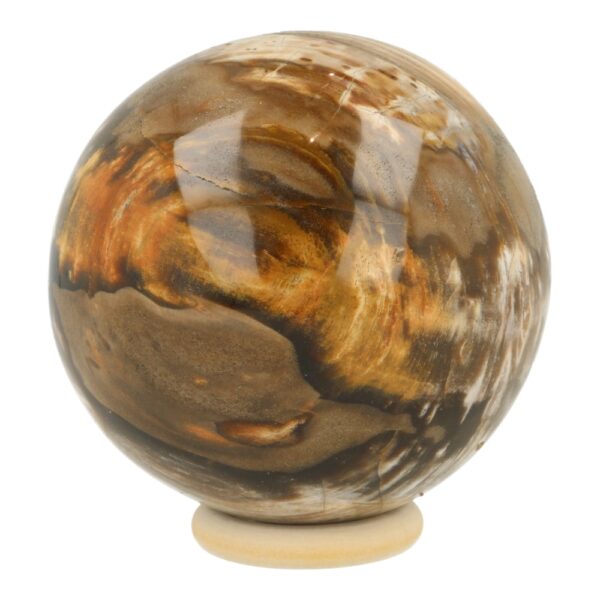 Prachtige bol van versteend hout met diameter van 84mm en houten ring