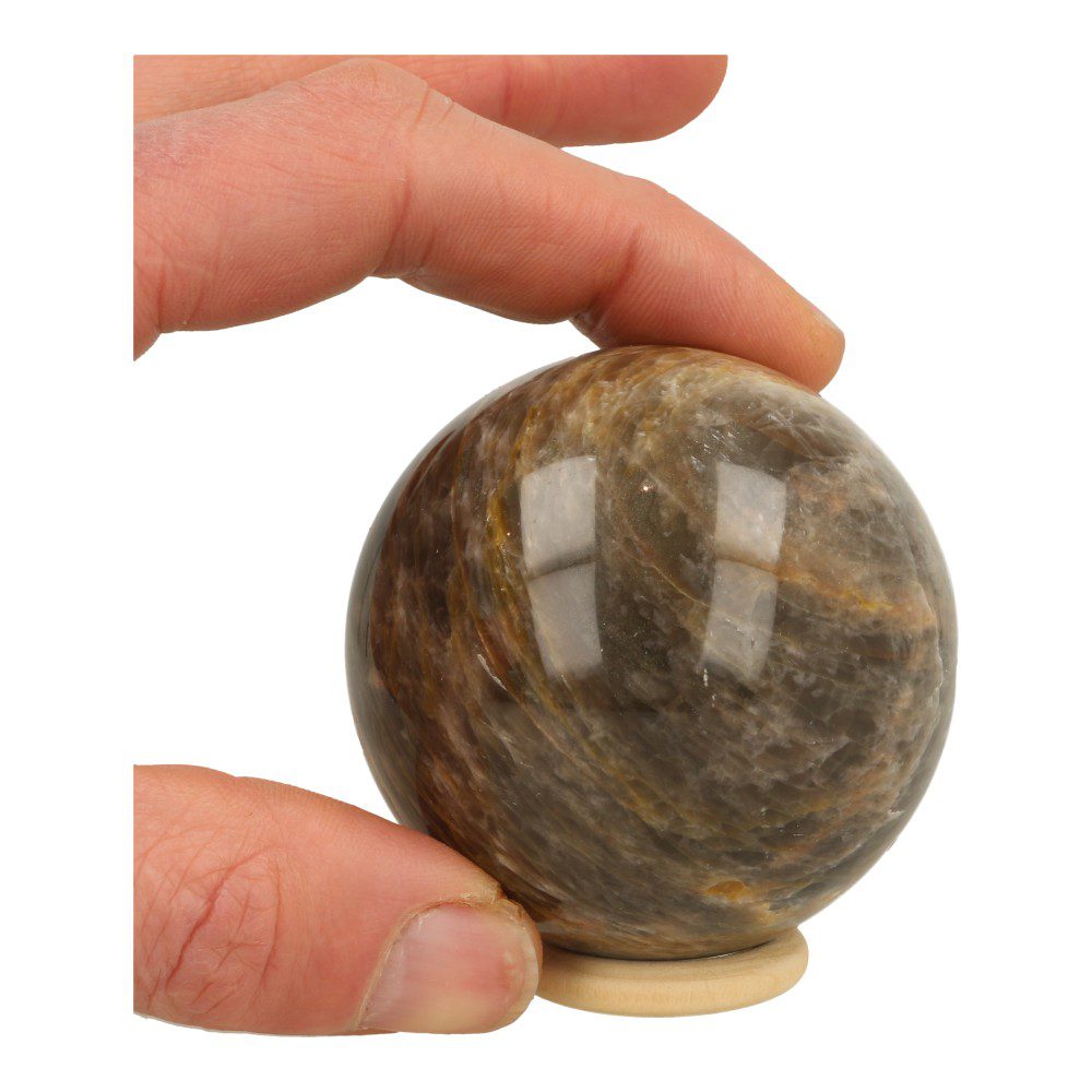 Overzichtsfoto in hand van Fraaie zwarte maansteen bol van 64mm met mooie glans en houten ringetje