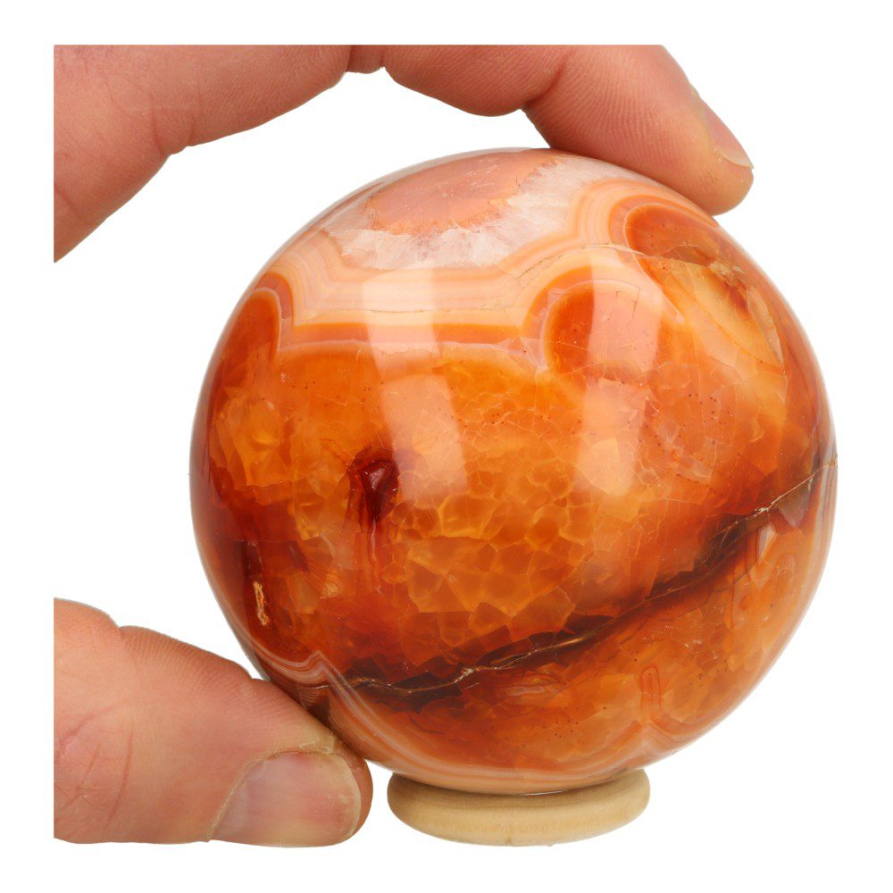 Overzicht met hand van fraai getekende carneool bol met diameter van 76mm en houten ringetje