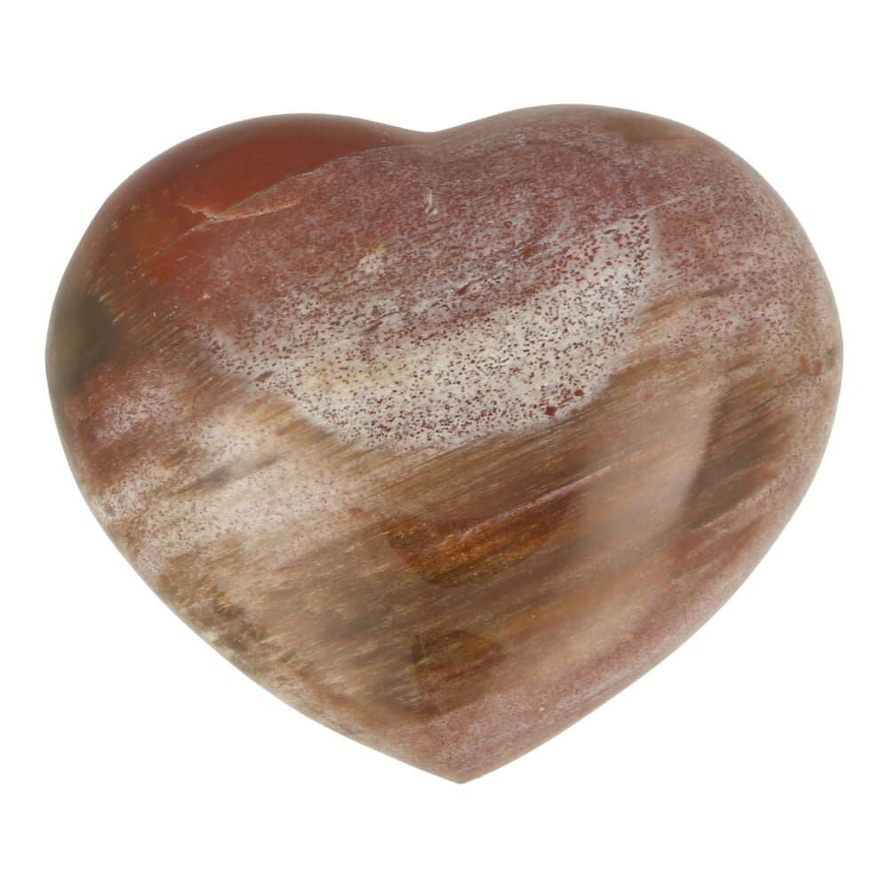Versteend hout hart 75mm