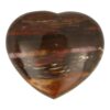 Fraai versteend hout hart van 8,7cm breed