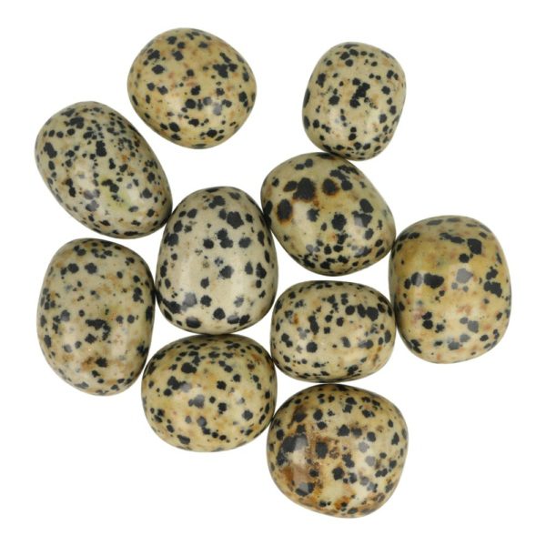 Fraaie dalmatiër jaspis trommelsteen van circa 3cm