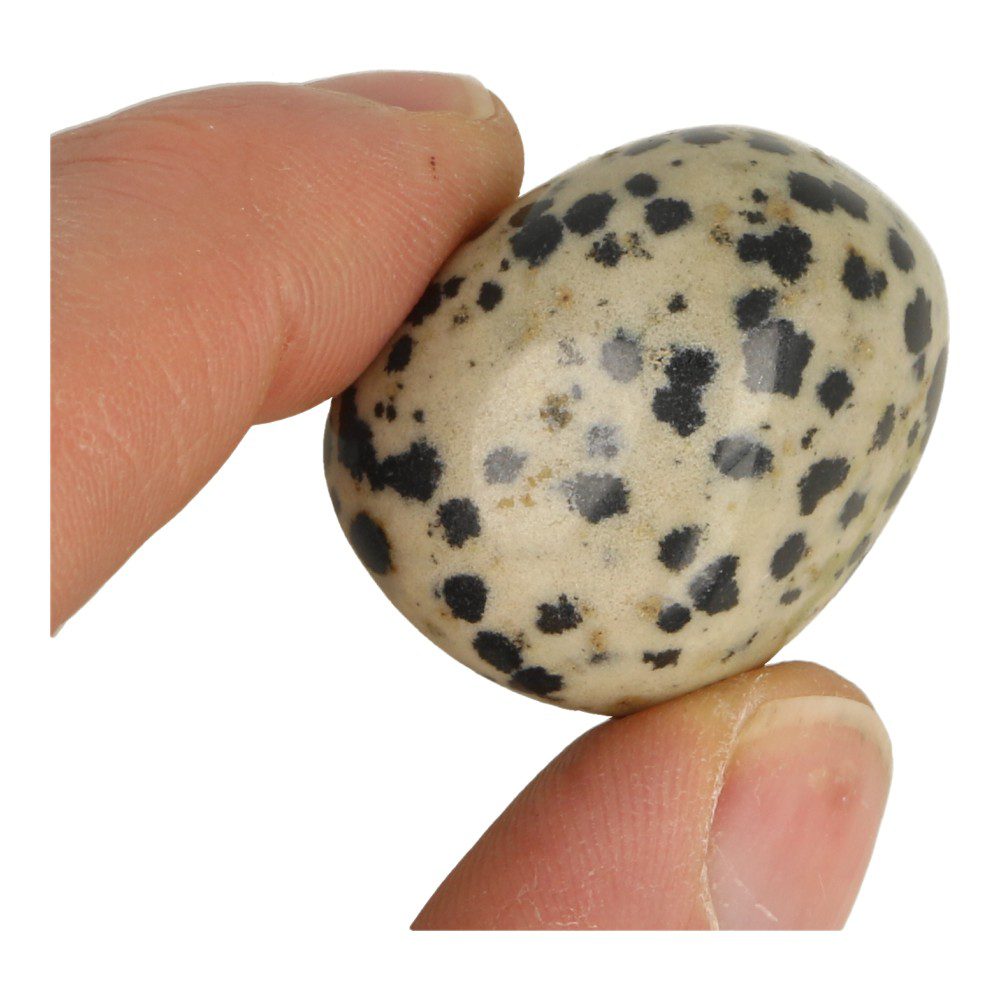 Fraaie dalmatiër jaspis trommelsteen van circa 3cm - voorbeeld 1