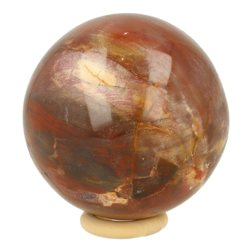 Versteend hout bol 67mm