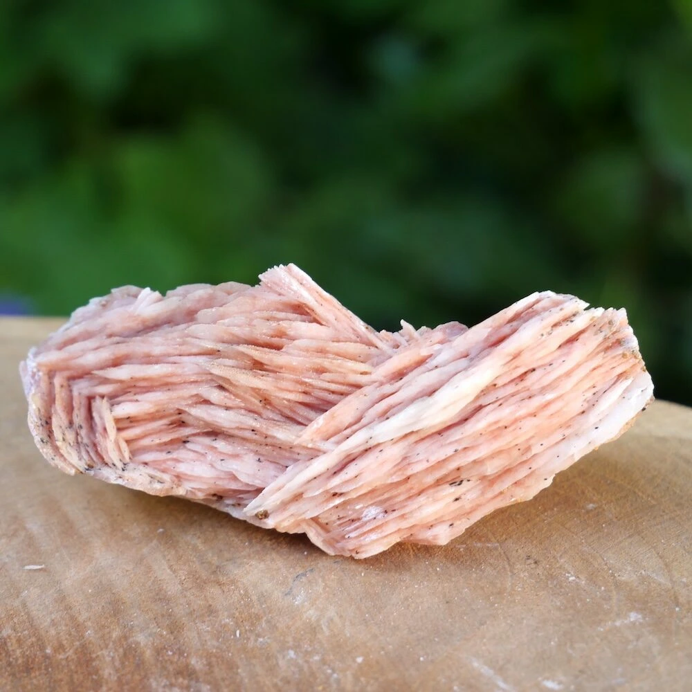 Bariet ruw 'nr10'