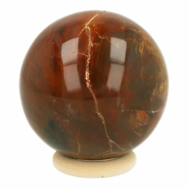 Fraaie versteend hout bol met diameter van 52mm