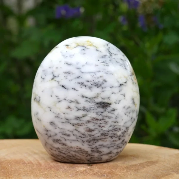 Fijne dendriet opaal vrije vorm van 8cm hoog