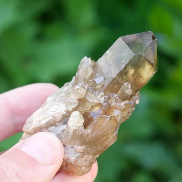 Fraai natuurlijke citrien cluster ruw nr21
