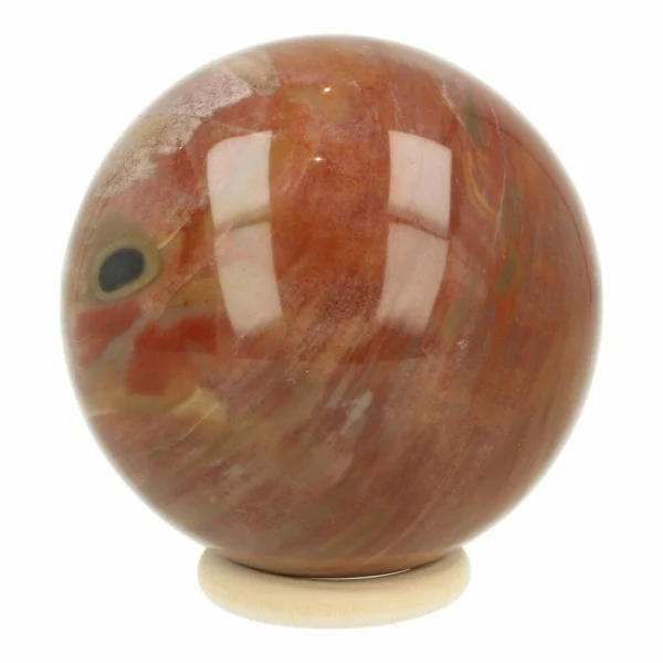 Fraaie versteend hout bol met diameter van 78mm op houten ring