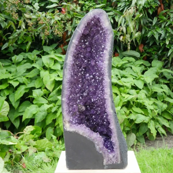 A-kwaliteit amethist geode van maar liefst 32kg en 67cm hoog