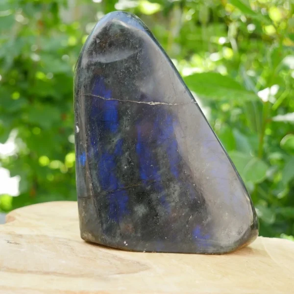 Fraaie labradoriet met donkerblauwe flash en bijna 14cm hoog