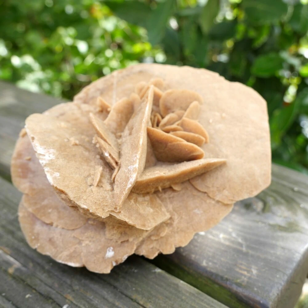 Woestijnroos 'nr7' Woestijnroos 'nr7'