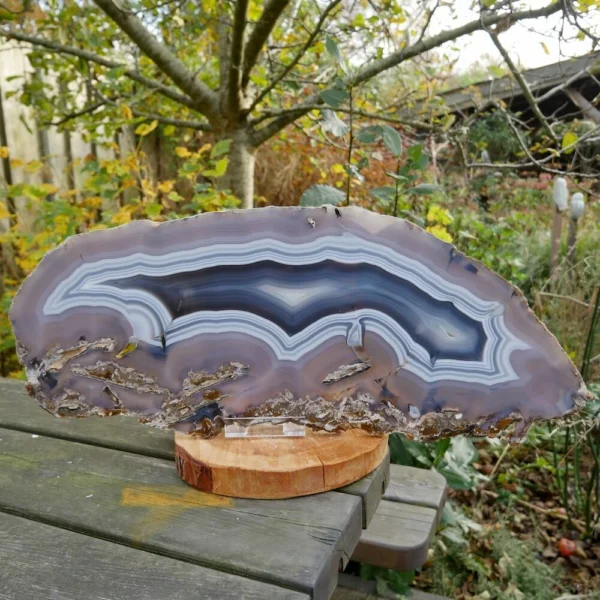 Zeer fraaie agaat schijf XL met mooie natuurlijke blauwtinten en maar liefst 54,5cm breed