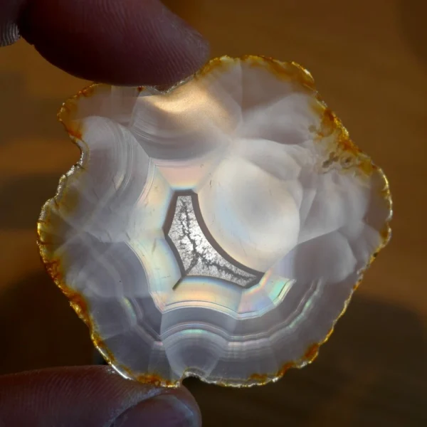 Iris agaat schijf nr1 uit Indonesië van 5,5 x 5,5cm