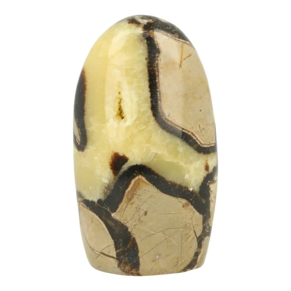 Fraaie septarie vrije vorm van ruim 11cm hoog met mooie tekening en natuurlijke holte