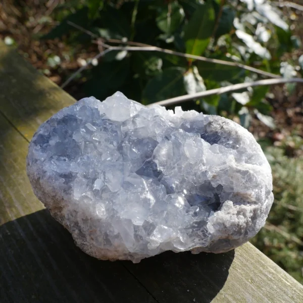 Fraai groter celestien cluster nr10 van 11,8cm lang met mooie kristallen.