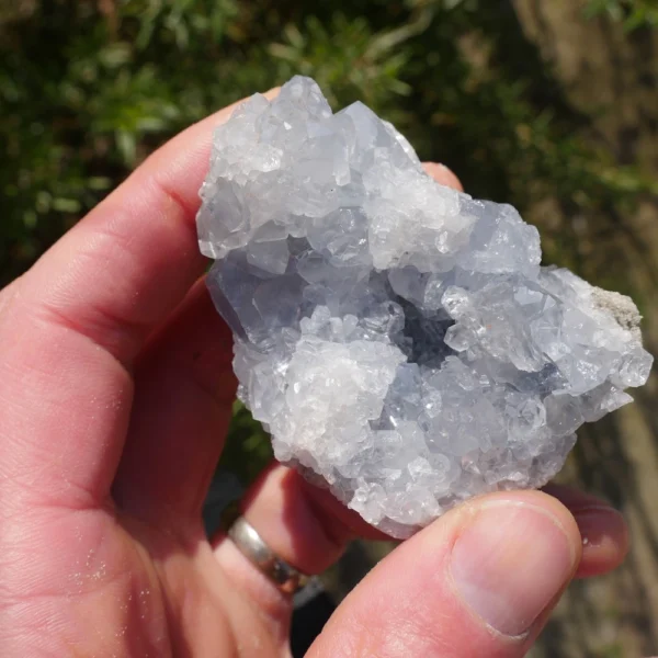 Fijn cluster celestien ruw nr7 van 85cm lang uit Madagaksar en mooi holte met kristallen