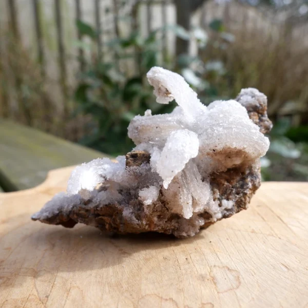 Bijzonder fraai cluster ramshoorn seleniet nr1 uit Marokko met mooie kristallen en 10cm lang