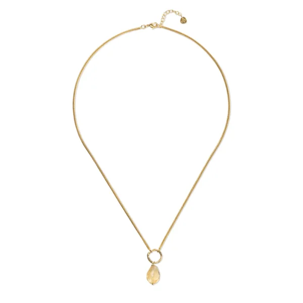 Gebrande citrien ketting awareness van A beautiful Story met vergulde ketting van 50cm lengte