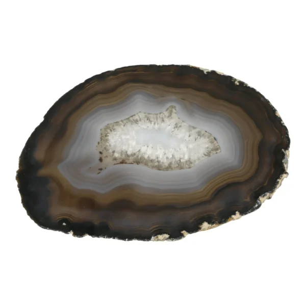 Fraaie gaat schijf van 15cm breed uit Brazilië