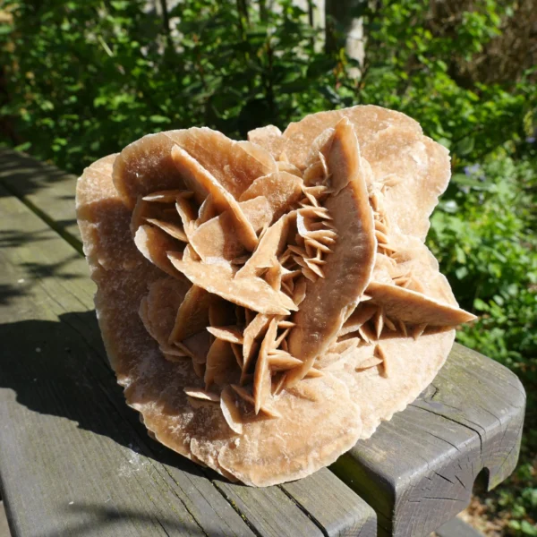 Mooie grote woestijnroos van 1,8kg uit Tunesië