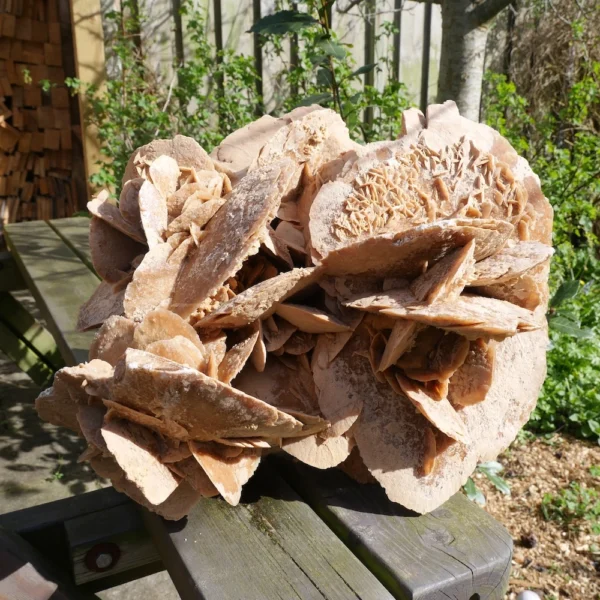 Fraaie grote woestijnroos van ruim 17kg uit Tunesië