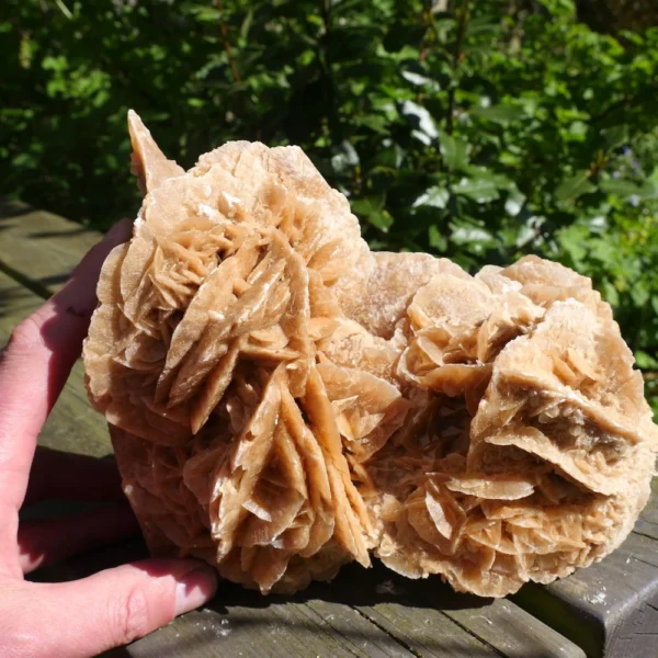 Fraaie woestijnroos van 2,38kg en 19cm lang uit Tunesië