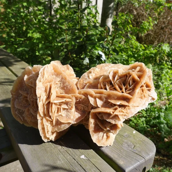 Fraaie grote woestijnroos van 29cm lang en 3,2kg gewicht uit Tunesië