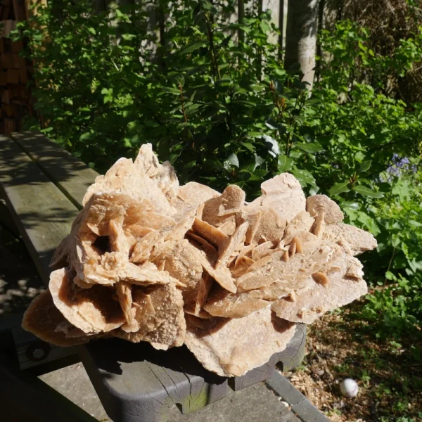 Mooie grote woestijnroos van ruim 7,7kg en 29cm lang uit Tunesië