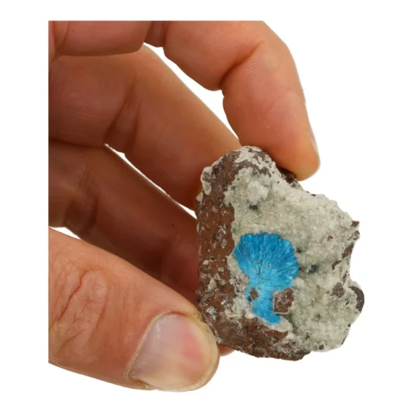 Fraai cluster met bijzonder cavansiet kristal op matrix (nr.6)