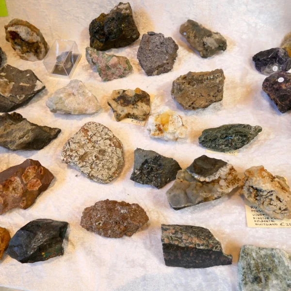 Mystery bos met 3 ruwe mineralen van 6-10cm, nu aantrekkelijk geprijsd!