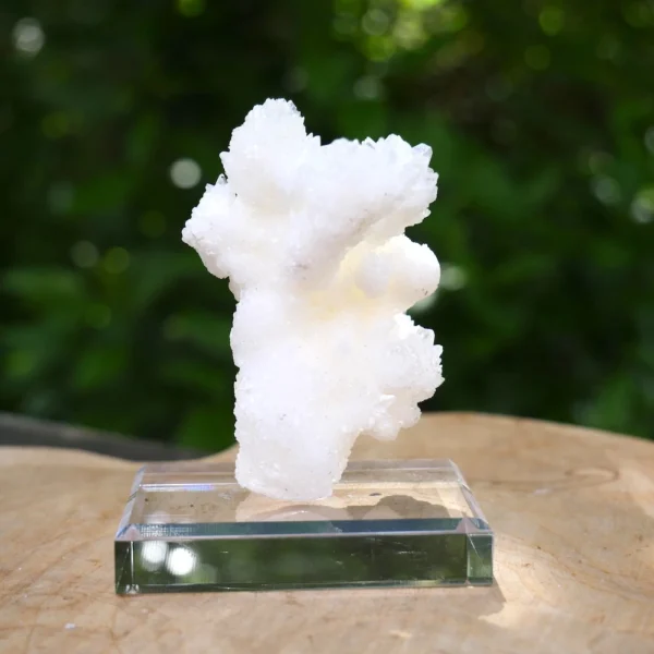 Mooi cluster witte aragoniet uit Mexico op sokkel (nr.4)