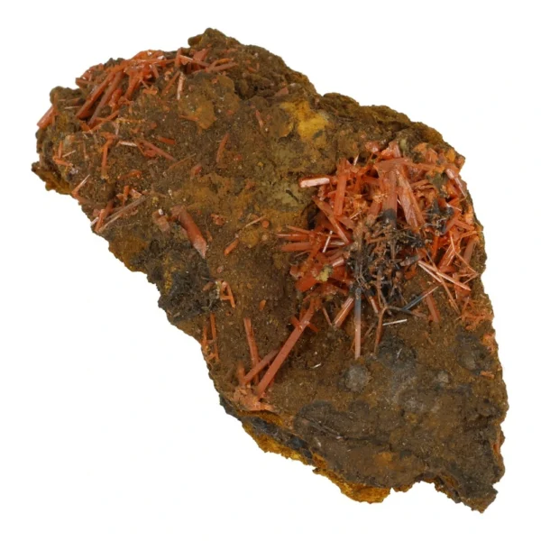 Fraai cluster met crocoiet kristallen uit Australië (nr.2) van 63mm lang
