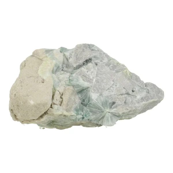 Leuk stukje waveliet (nr.5) van 3,9 x 3cm