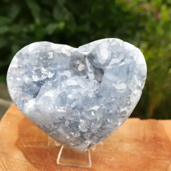 Zeer fraai ruw celestien hart van 106mm breed uit Madagaskar