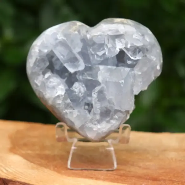 Fraai celestien hart van 85mm breed uit Madagaskar