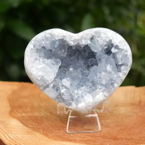 Mooi celestien hart van 88mm breed uit Madagaskar