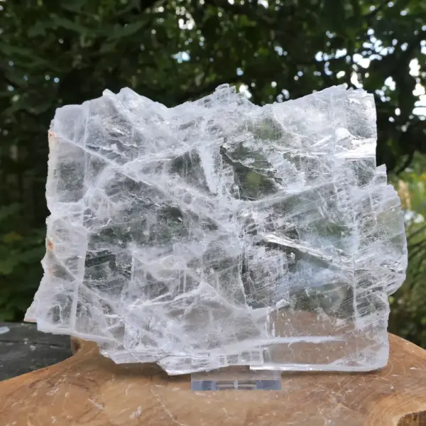 Mooie transparante mariaglas plaat (nr.4) van circa 19cm breed