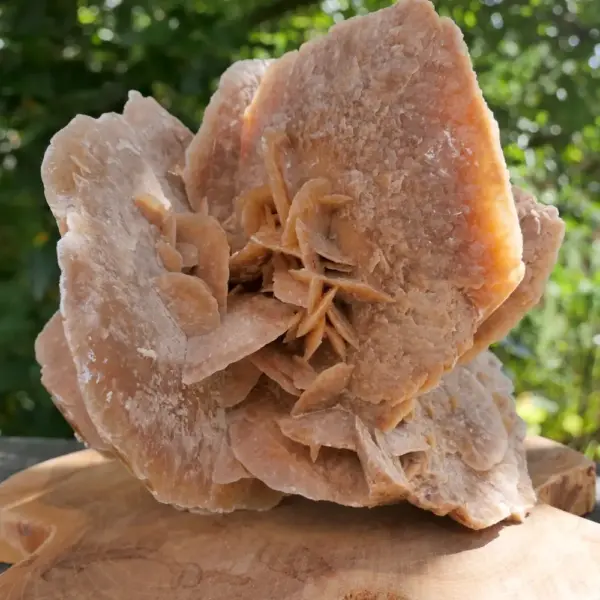 Fraaie woestijnroos groot (nr.3) van 2kg uit Tunesië