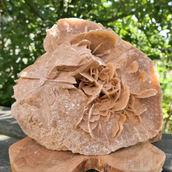 Fraaie woestijnroos (nr.4) uit Tunesië van 2,1kg