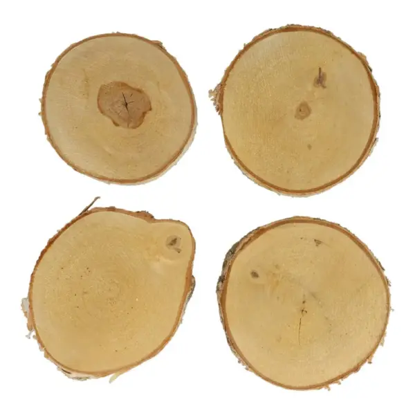 Leuke boomschors plankjes van ongeveer 10-12cm diameter en 1cm dik
