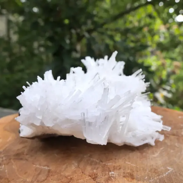 Zeer fraai scoleciet cluster (nr.3) uit India